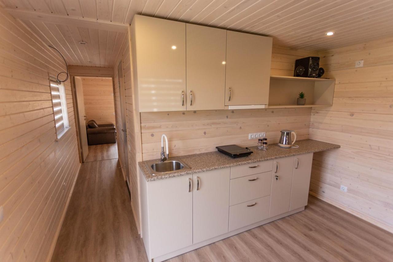 Brivdienu Maja-Lauvas Licis Rūjiena Extérieur photo